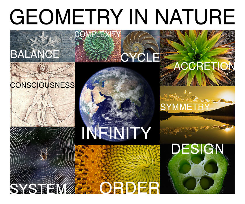 Geometry-in-nature digital gardener.jpg