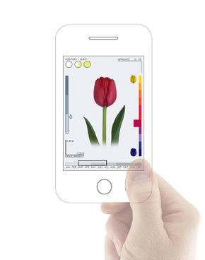 Mobile app tulip hand digital gardener.jpg